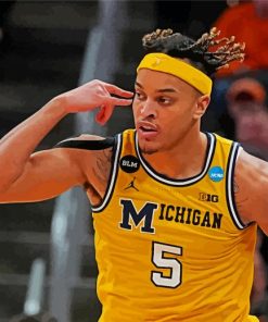 Michigan Wolverines Basketballer Paint By Numbers