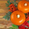 Pumkings And Rowanberry Paint By Numbers