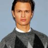 The American Actor Ansel Elgort Paint By Numbers