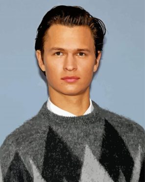 The American Actor Ansel Elgort Paint By Numbers