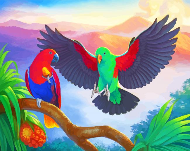The Eclectus Parrots Paint By Numbers