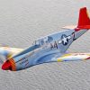 The Red Tails Plane Paint By Numbers