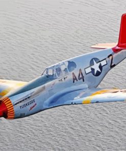 The Red Tails Plane Paint By Numbers