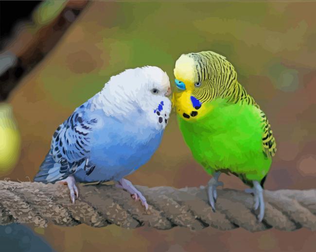 Two Budgies In Love Paint By Numbers