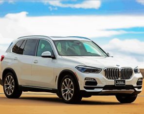 White Bmw X5 Car Paint By Numbers