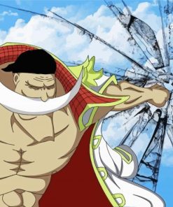 Whitebeard Anime Paint By Numbers