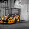 Yellow Lotus Car Paint By Numbers
