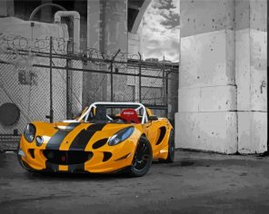 Yellow Lotus Car Paint By Numbers