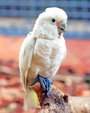 Cute Goffins Cockatoo Paint By Numbers