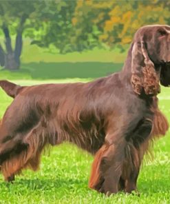 Field Spaniel Dog Paint By Numbers