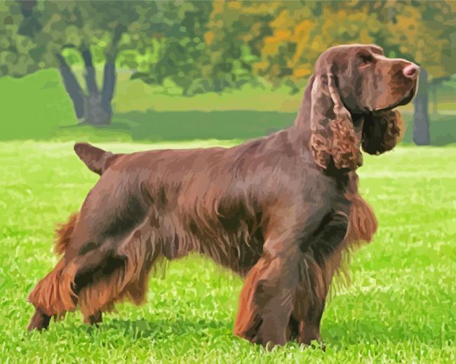 Field Spaniel Dog Paint By Numbers