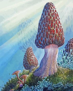 Morel Mushroom Art Paint By Numbers