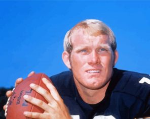 The Football Player Terry Bradshaw Paint By Numbers
