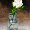 White Roses In Bottles Art Paint By Numbers