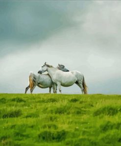 Wild Grey Horse Couple Paint By Numbers