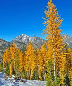 Yellow Larch Paint By Numbers