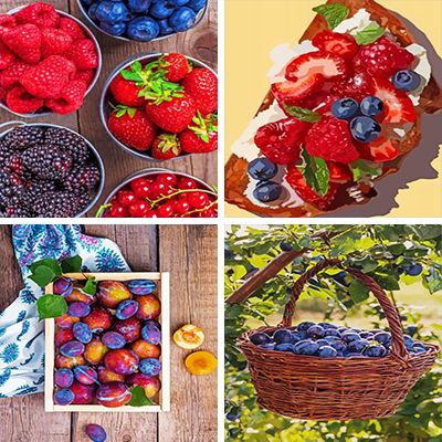 Berries Painting By Numbers