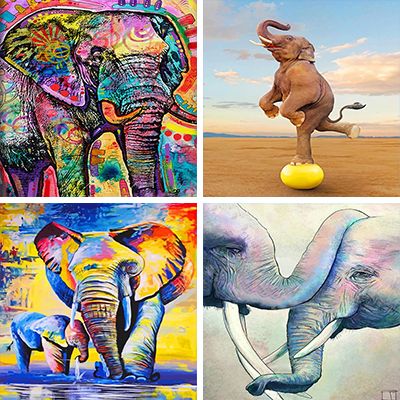 Bull Elephnat Painting By Numbers