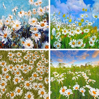Daisies Painting By Numbers