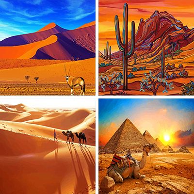 Desert Painting By Numbers