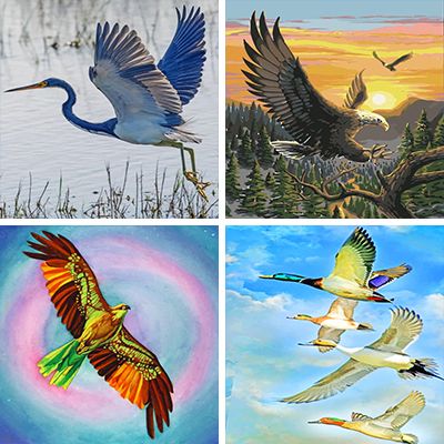Flying Bird Painting By Numbers
