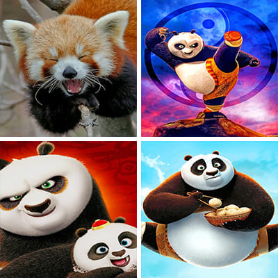 Pandas Painting By Numbers