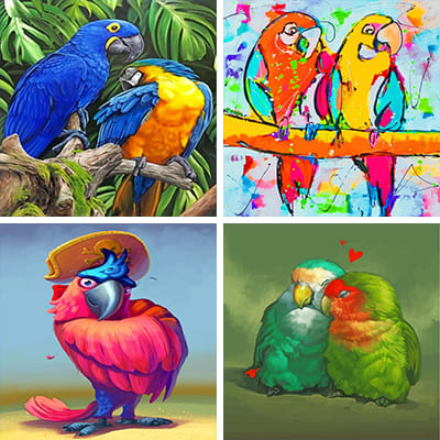 Parrots Painting By Numbers