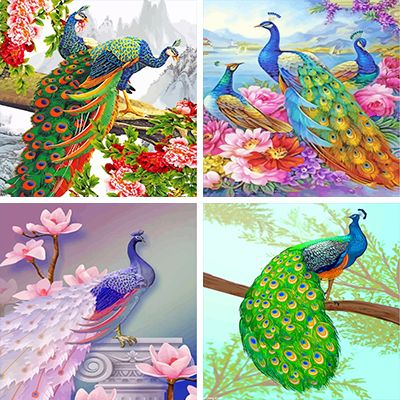 Peacock Painting By Numbers