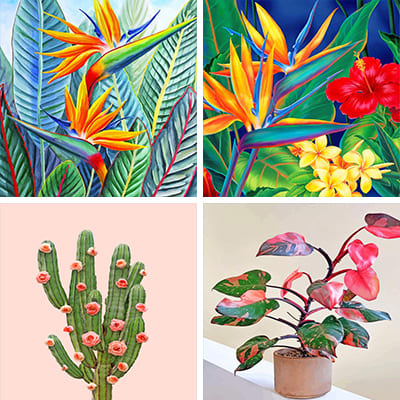 Plants Painting By Numbers