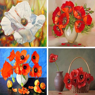 Poppy Painting By Numbers