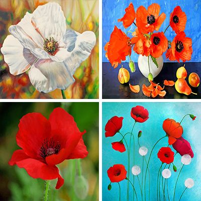 Poppy Anemone Painting By Numbers