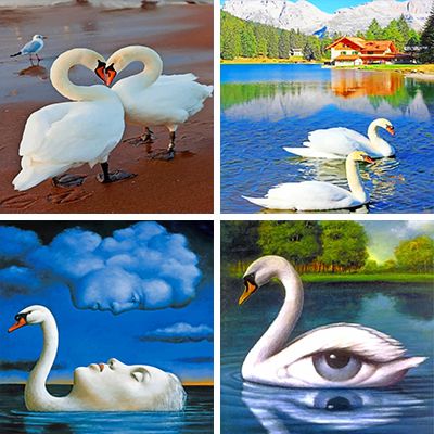 Swans Painting By Numebrs
