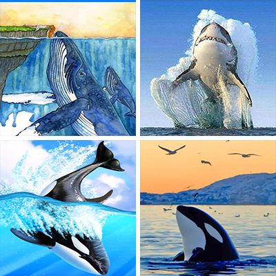Whales Painting By Numbers
