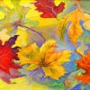 Abstract Autumn Leaves Paint By Numbers